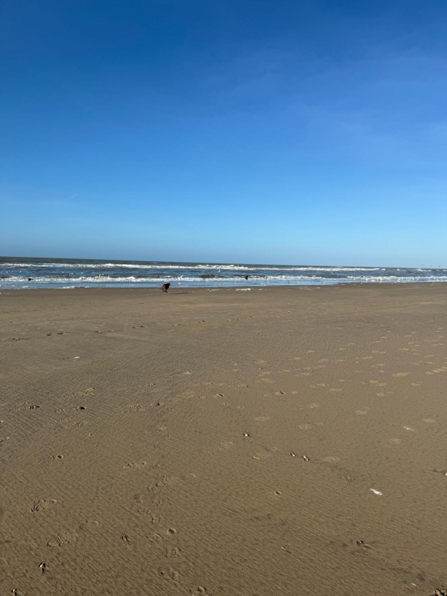 Guesthouse West Noordwijk Buitenkant foto